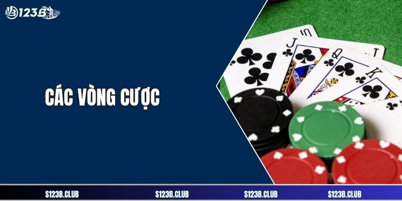 Các vòng cược